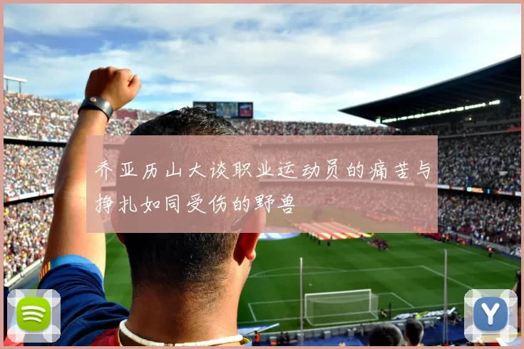 乔亚历山大谈职业运动员的痛苦与挣扎如同受伤的野兽